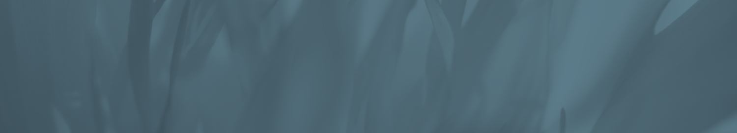 Background Wave